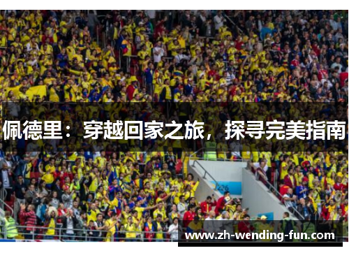 佩德里：穿越回家之旅，探寻完美指南
