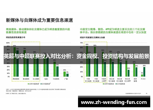 英超与中超联赛投入对比分析：资金规模、投资结构与发展前景