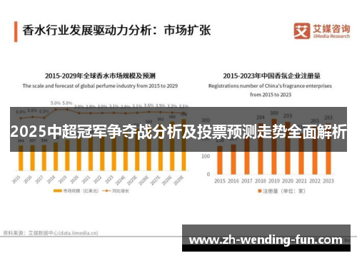 2025中超冠军争夺战分析及投票预测走势全面解析