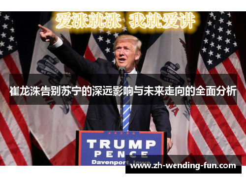 崔龙洙告别苏宁的深远影响与未来走向的全面分析