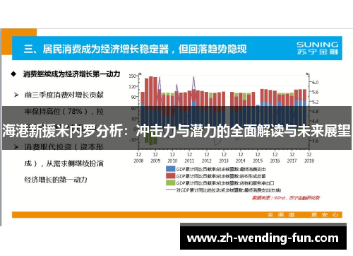 海港新援米内罗分析:冲击力与潜力的全面解读与未来展望 海港新援米内罗分析:冲击力与潜力的全面解读与未来展望