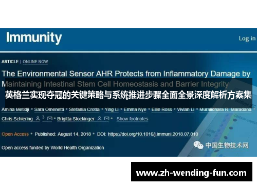 英格兰实现夺冠的关键策略与系统推进步骤全面全景深度解析方案集