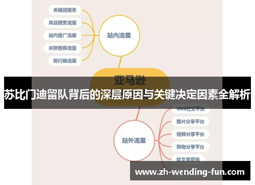 苏比门迪留队背后的深层原因与关键决定因素全解析