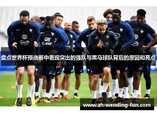 盘点世界杯预选赛中表现突出的强队与黑马球队背后的原因和亮点